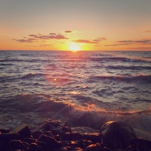 Meet your Posher, Angelina